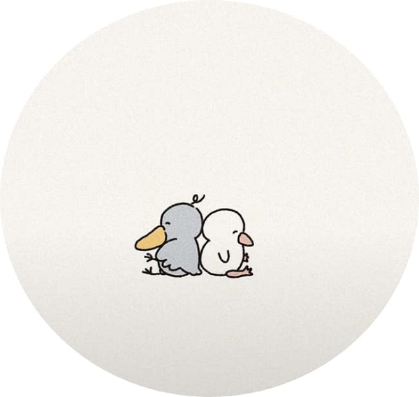 Avatar vịt cute weibo 8