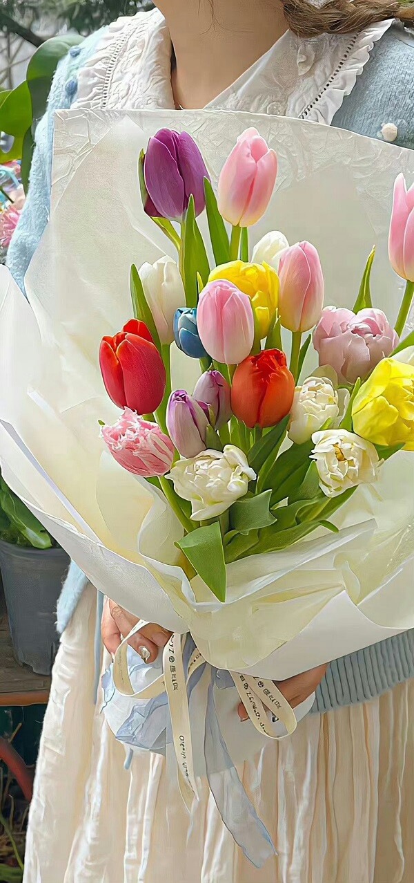 hình nền hoa tulip cho điện thoại 7