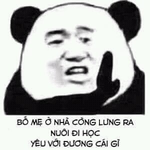 Meme gấu trúc bựa 12