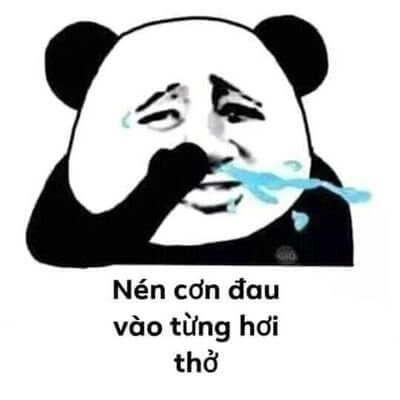 weibo meme gấu trúc troll face 4