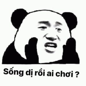 weibo meme gấu trúc troll face 9