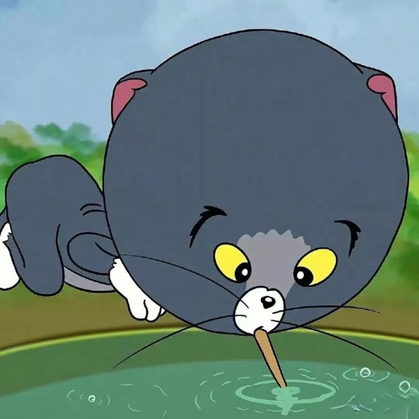 avatar đôi tom và jerry 13