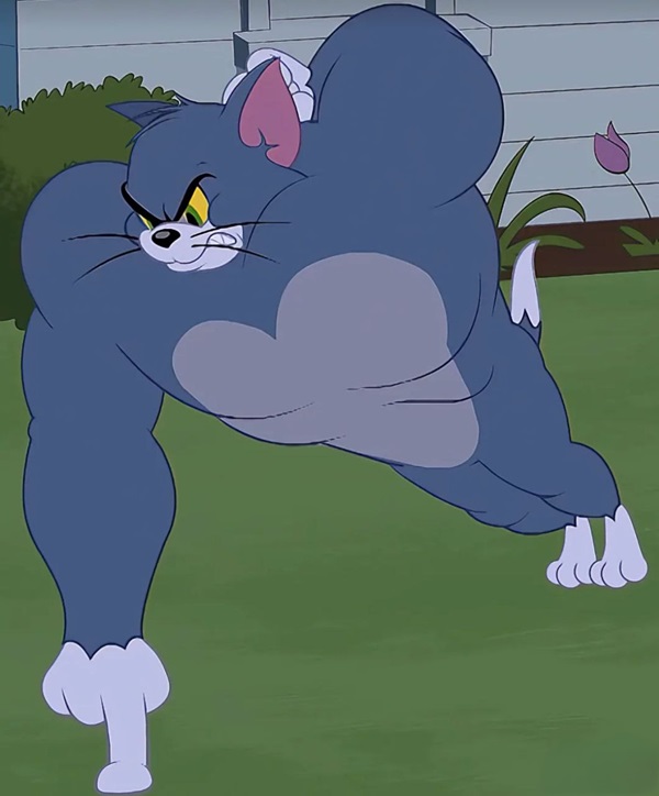 avatar đôi tom và jerry 15