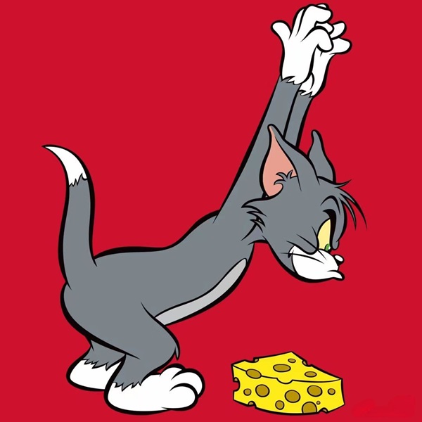 avatar đôi tom và jerry 5