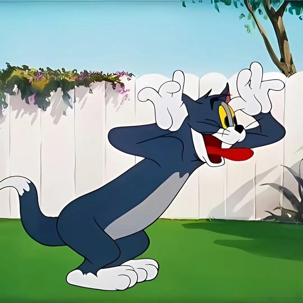 ảnh đại diện tom and jerry cute 14