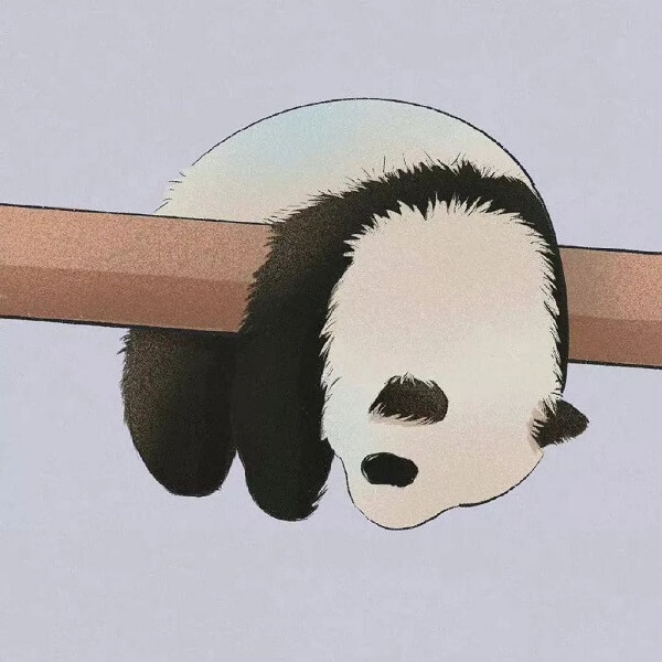 Hình nền gấu trúc panda 8