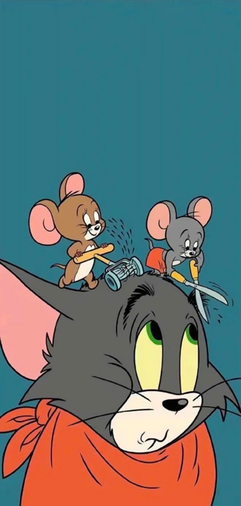 Hình nền tom and jerry cho điện thoại 12