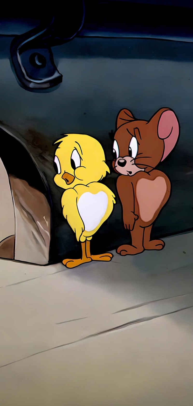 Hình nền tom and jerry cho điện thoại 5