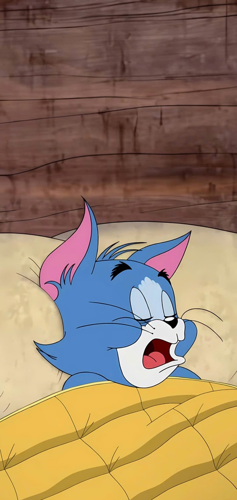 Hình nền tom and jerry cho điện thoại 9