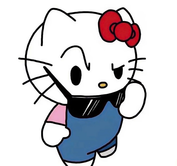 Mèo hello kitty đáng yêu 44