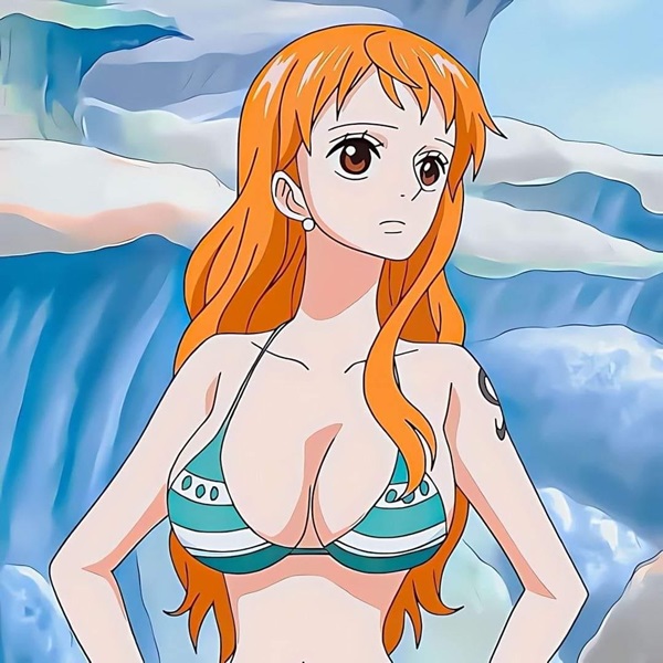 Ảnh Nami one piece bikini 5