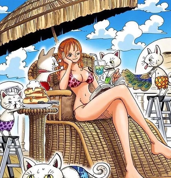 Ảnh Nami one piece bikini 9