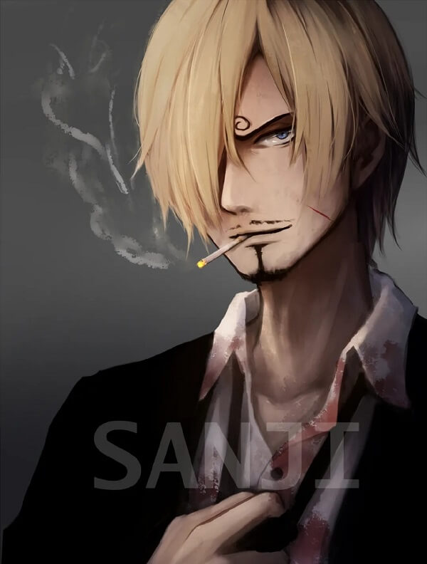 ảnh Sanji 3