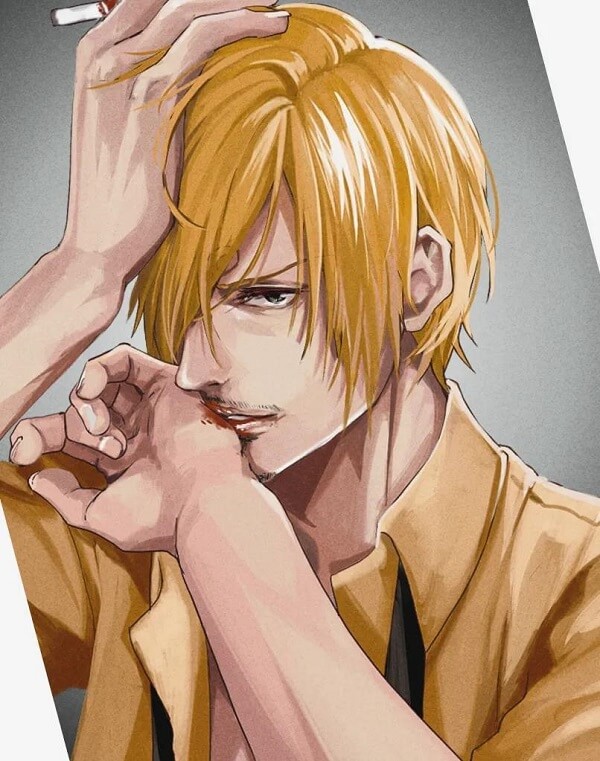 Ảnh Sanji  2