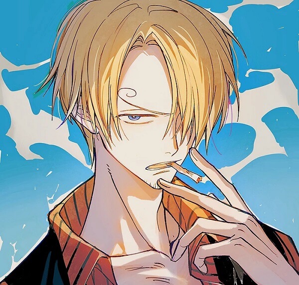 Ảnh Sanji  9