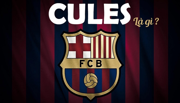 1. Cule là gì