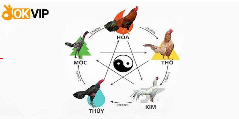 Màu mạng là là một thuật thuật quen thuộc của người phương Đông