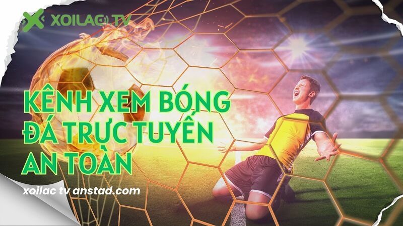 Trực tiếp giải Bundesliga hấp dẫn