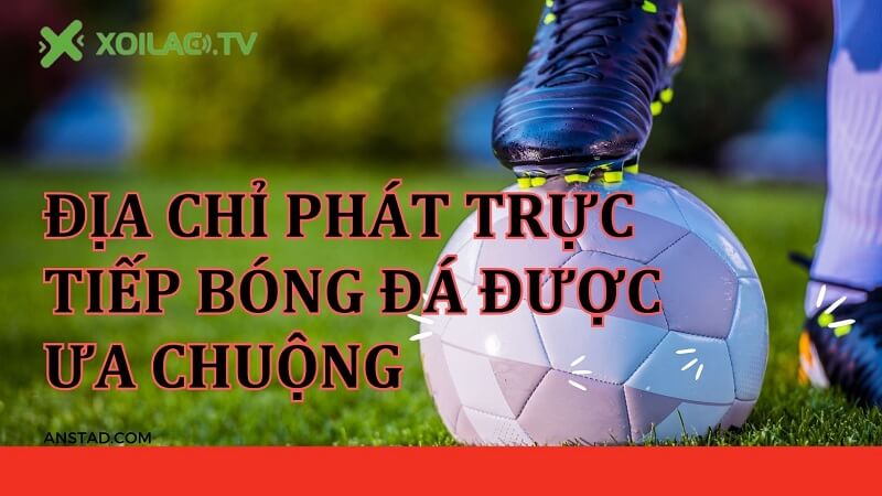 Tầm ảnh hưởng của Xoilac TV anstad.com