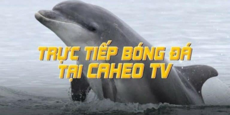 Đôi nét về Caheo TV