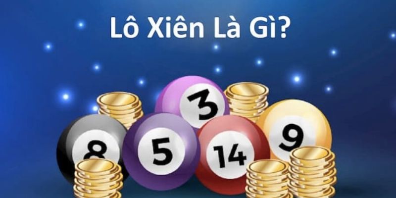 Lô xiên là gì? Giới thiệu chi tiết