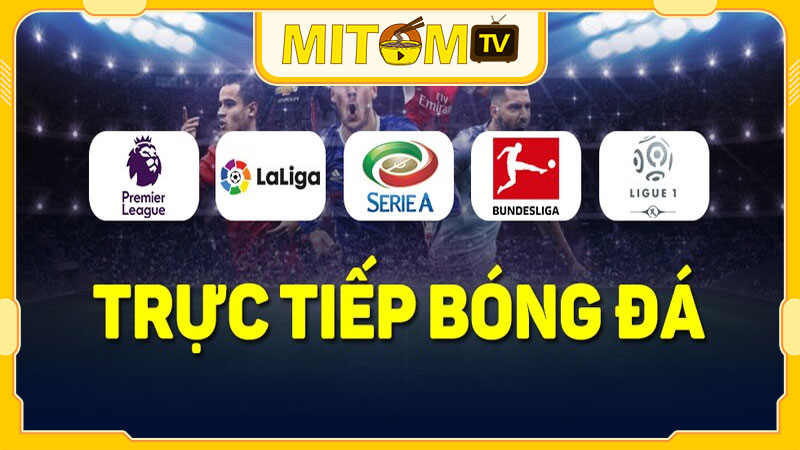 Một số câu hỏi thường gặp về tin tức bóng đá trên Mitom TV