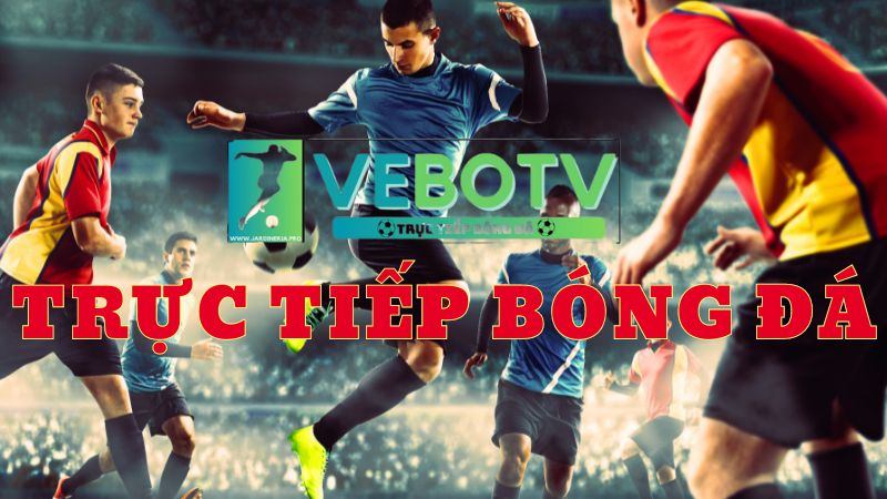 Giới thiệu VeboTV - web trực tiếp bóng đá đỉnh cao