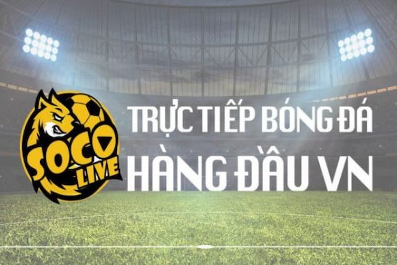 Giới thiệu đôi nét về nền tảng trực tiếp bóng đá socolive