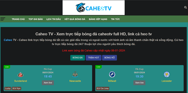 Những thông tin cơ bản về trang Caheo TV