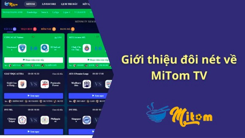 Mitom TV nhanh chóng chinh phục được đông đảo người dùng bởi chất lượng