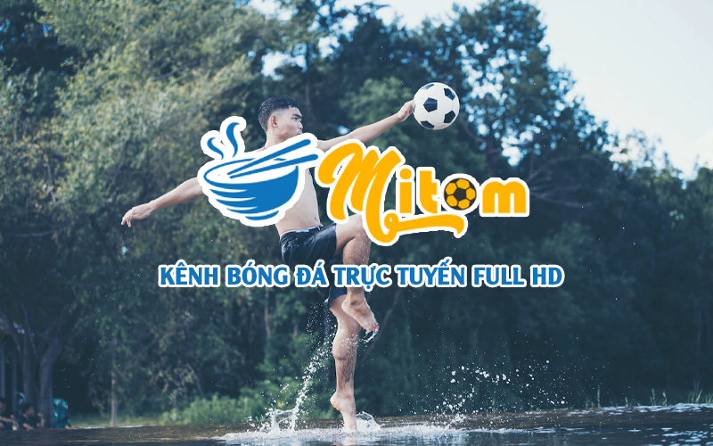 Đôi nét về kênh Mitom TV