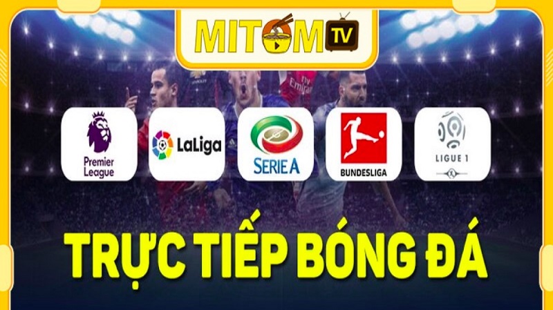 Mitom TV nhận được sự đánh giá tích cực từ các chuyên gia