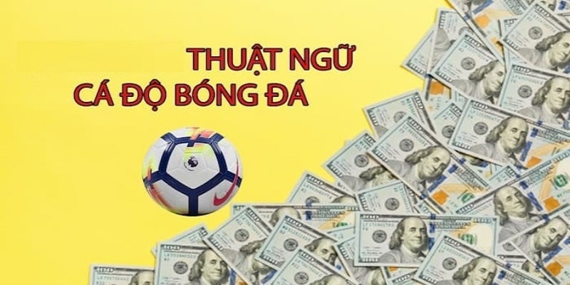 Thuật ngữ cá độ bóng đá khác bạn cũng nên biết 