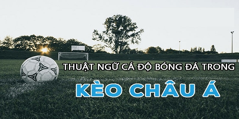 Cá độ bóng đá thuật ngữ trong kèo châu Á