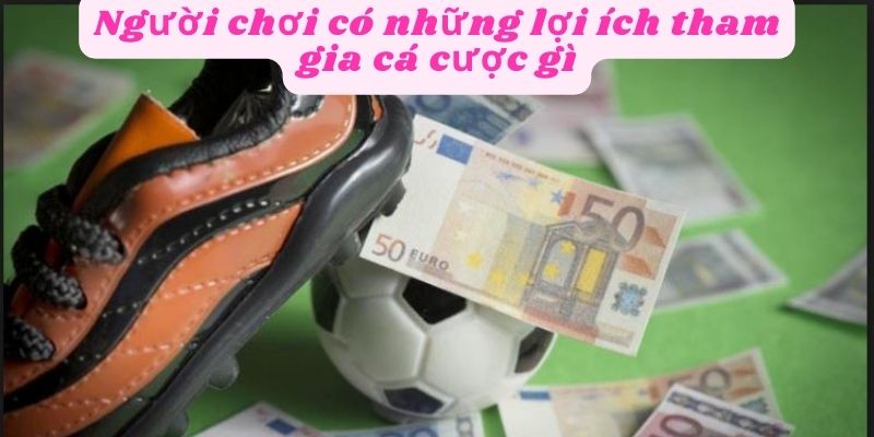 Các lợi ích tham gia cá cược từ người chơi