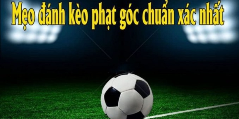 Tìm về chiến lược của đội tuyển