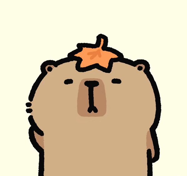 Avatar Capybara vô tri 6