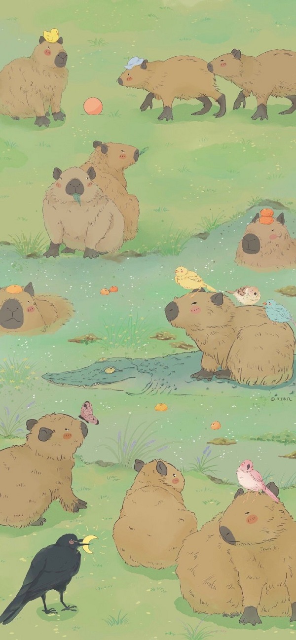 Hình nền Capybara mới nhất 7