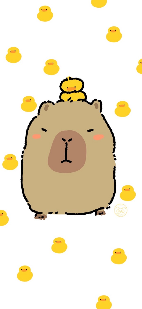 Hình nền Capybara mới nhất 10