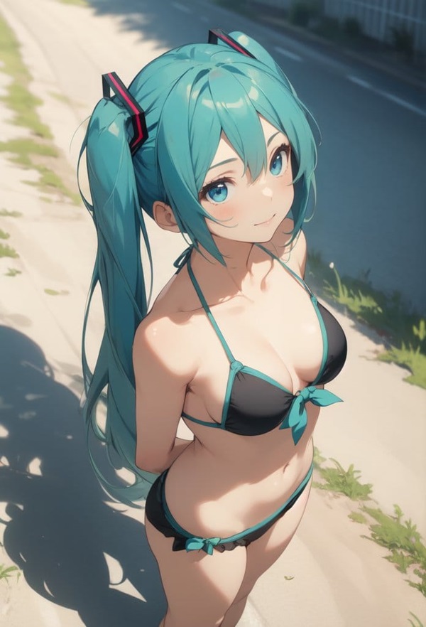 Ảnh Hatsune Miku sexy 12