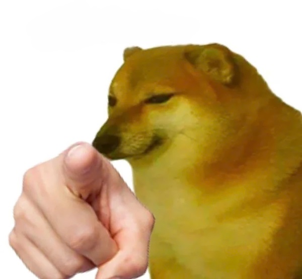 Meme chó shiba 1