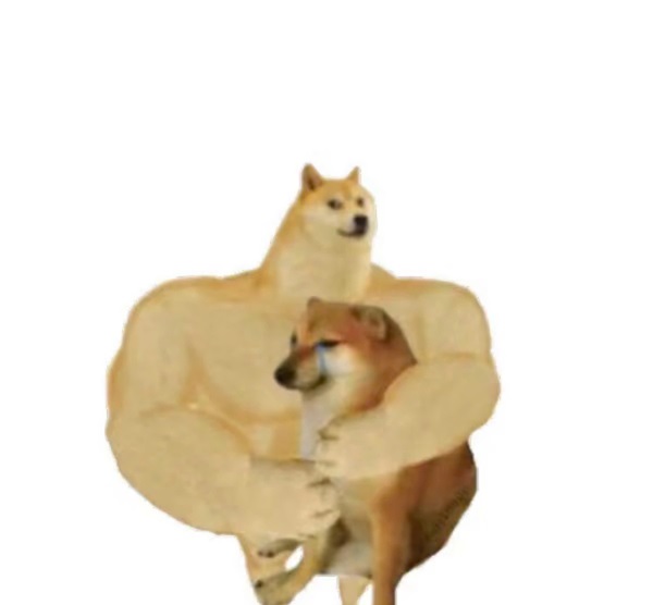 Meme chó shiba 11