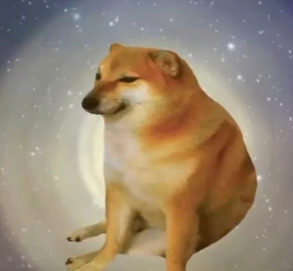 Meme chó shiba 3