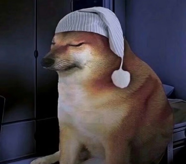 Meme chó shiba 5