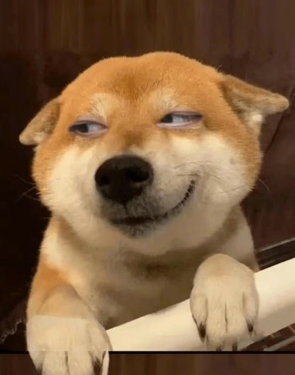 Meme chó shiba 8