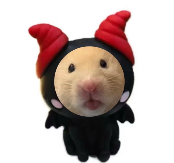 Meme hamster 10