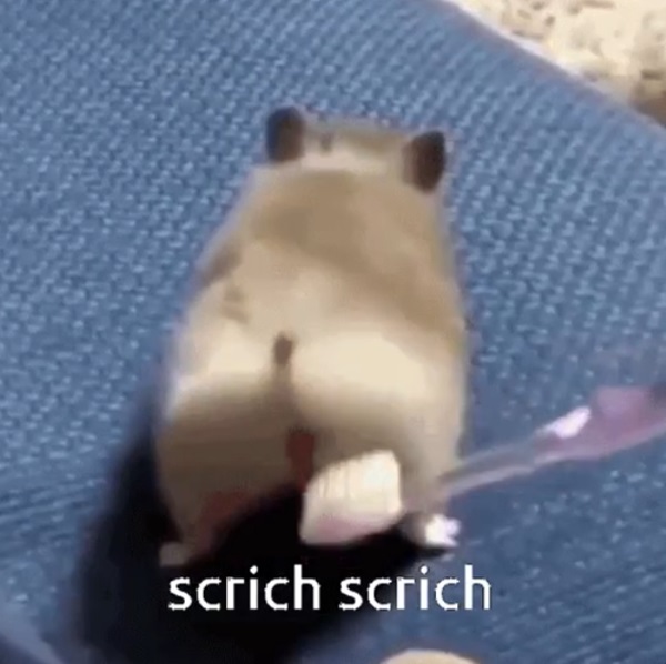 Meme hamster 16