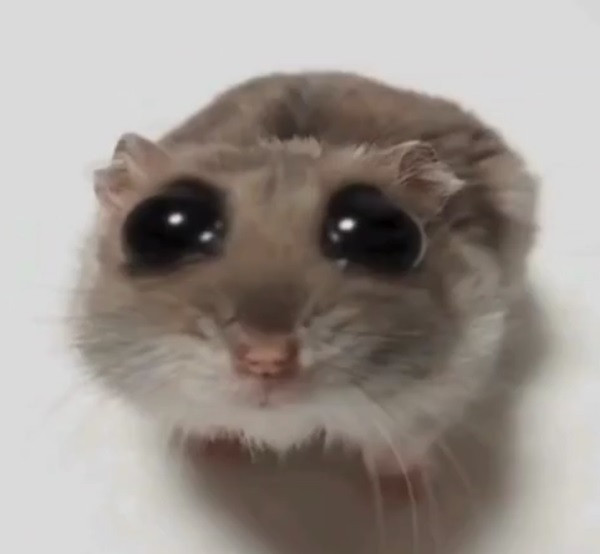 Meme hamster 2