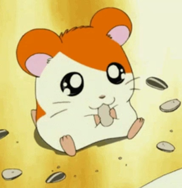 Meme hamster 25