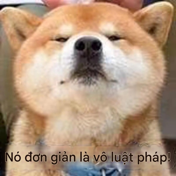 Meme khinh bỉ 22